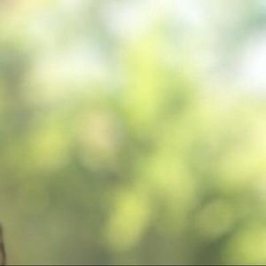 Meet your Posher, Marlen